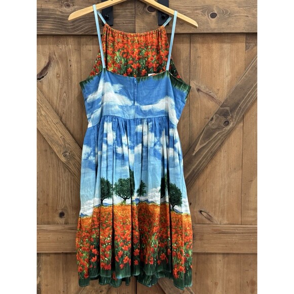 Bernie Dexter Poppies Serenity Scene Vintage Rockbilly Retro Swing Dress Sz XL - Picture 3 of 4
